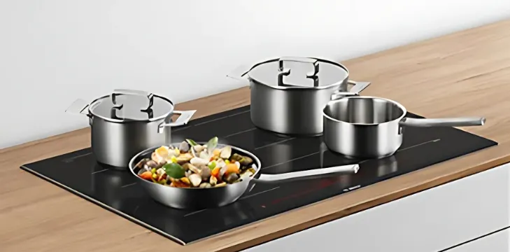 bosch induction hob, best premium induction hob, 4 burner model, available in new aatish market jaipur.